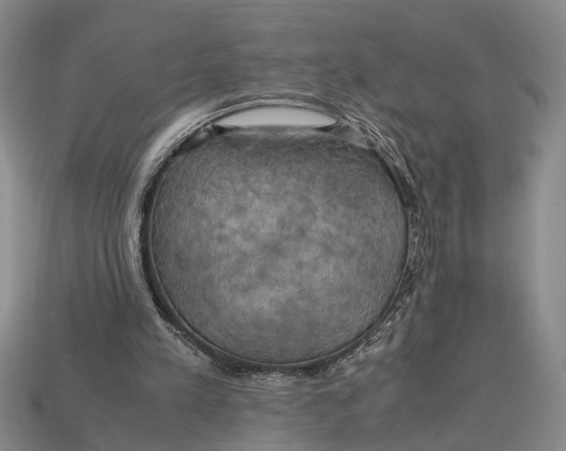 X0000112970197200909171325