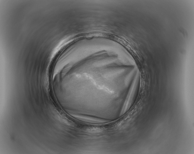 X0000112970198200909171325