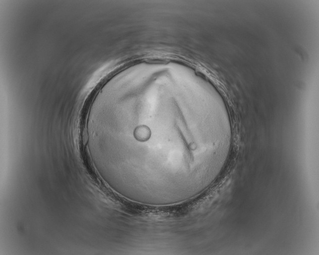 X0000112970199200909171325