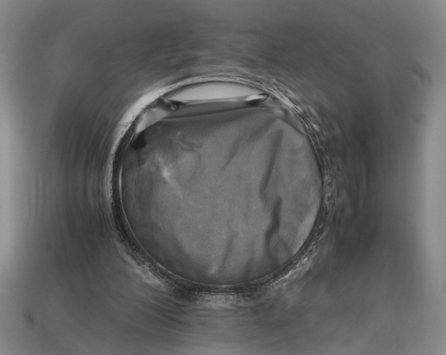 X0000112970200200909171325