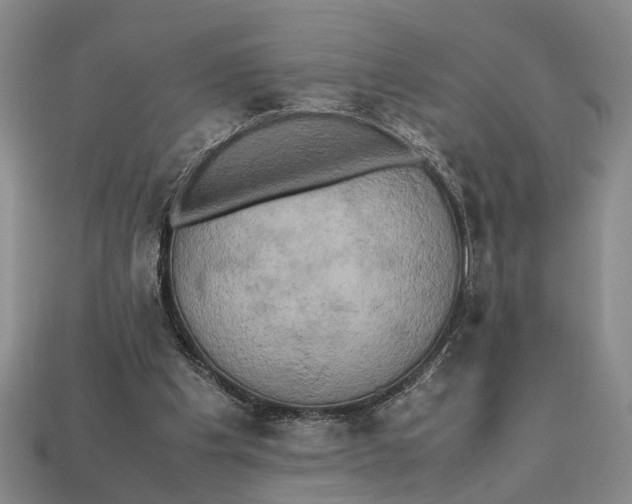 X0000112970201200909171325