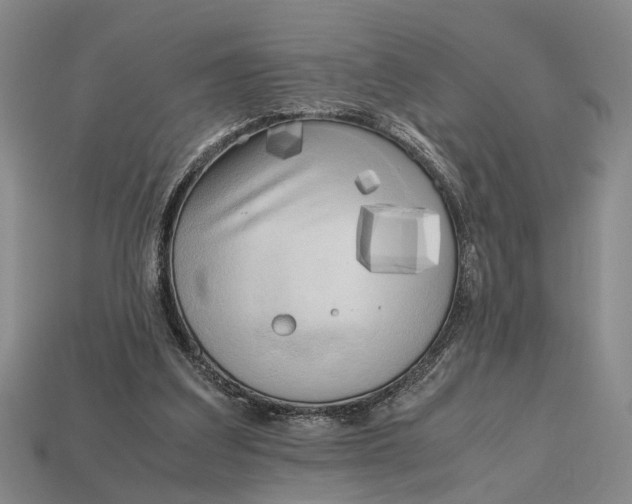 X0000112970203200909171325