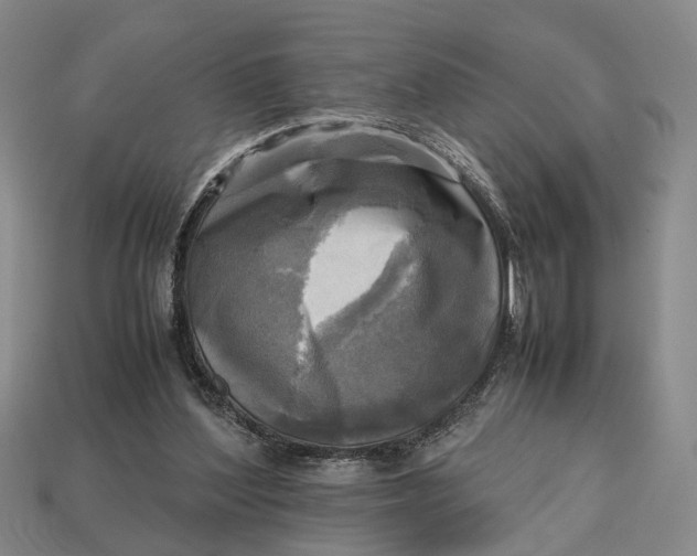 X0000112970204200909171325