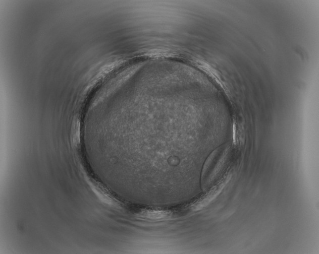 X0000112970205200909171325