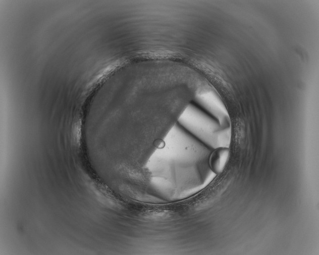 X0000112970206200909171325