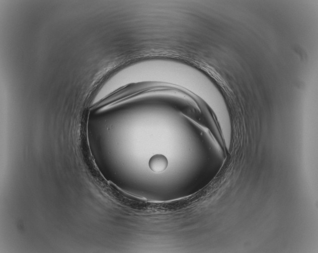 X0000112970207200909171325