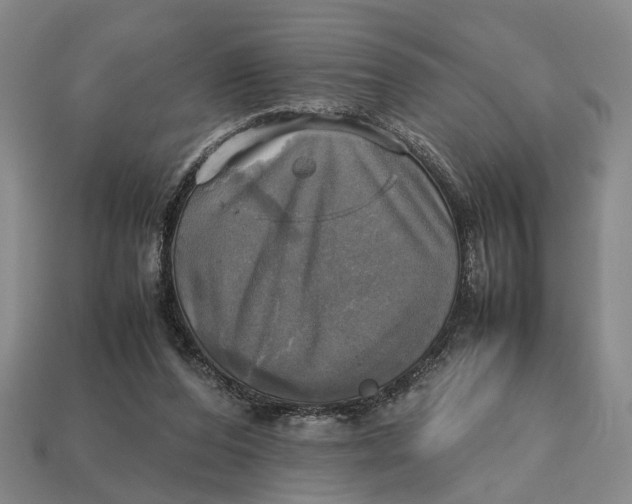 X0000112970208200909171325