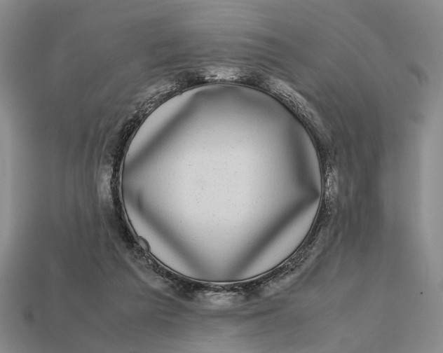 X0000112970209200909171325