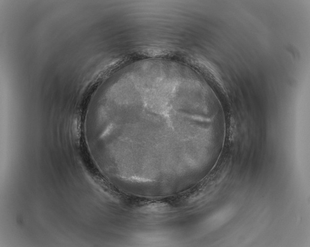 X0000112970210200909171325