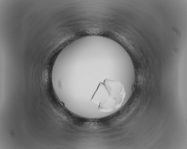 X0000112970211200909171325