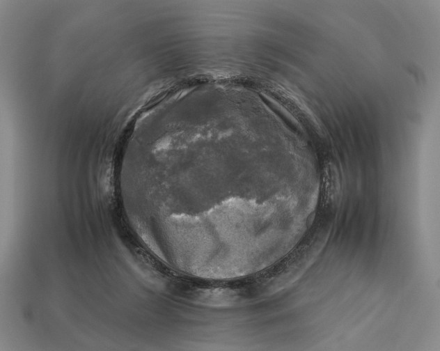 X0000112970212200909171325