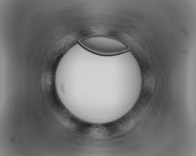 X0000112970215200909171325