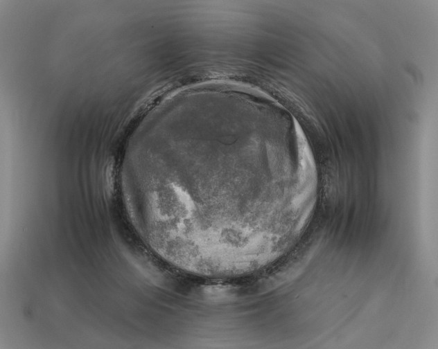 X0000112970216200909171325