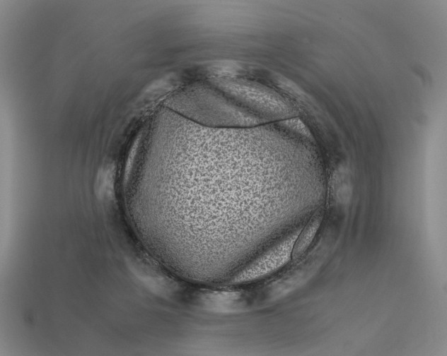 X0000112970217200909171325