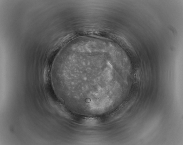 X0000112970218200909171325