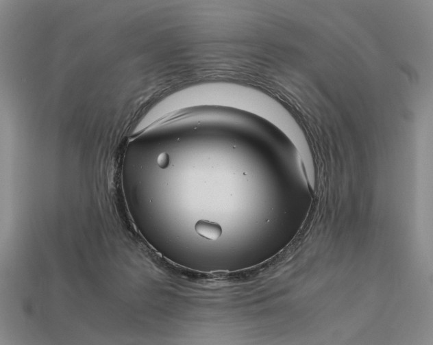 X0000112970219200909171325