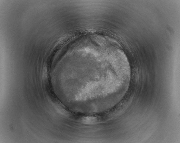 X0000112970220200909171325