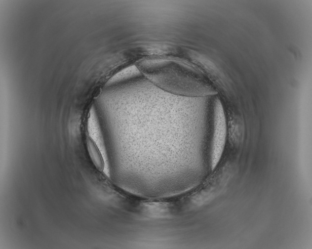 X0000112970221200909171325