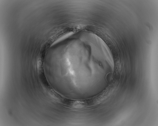 X0000112970222200909171325