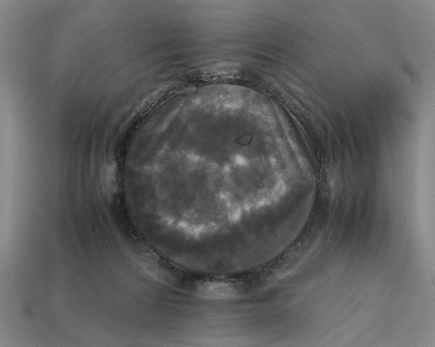 X0000112970224200909171325