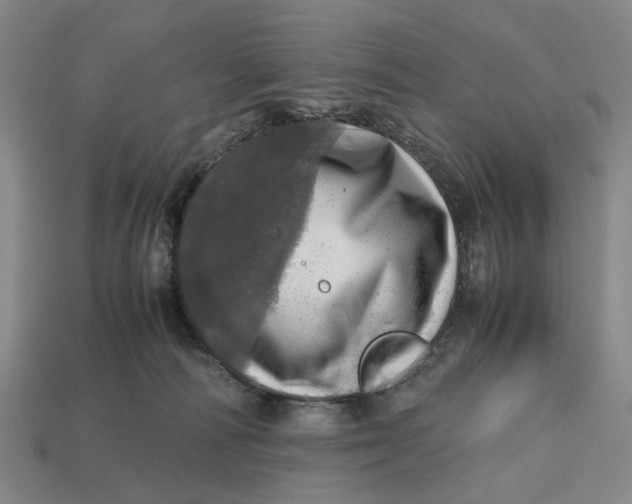 X0000112970226200909171325