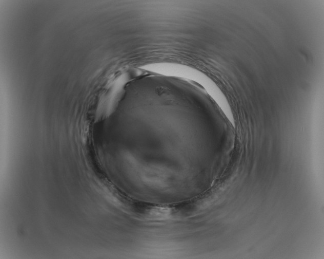 X0000112970227200909171325