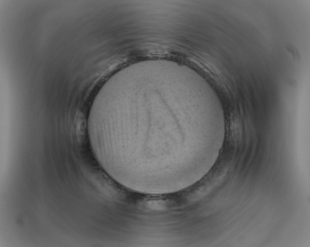 X0000112970228200909171325