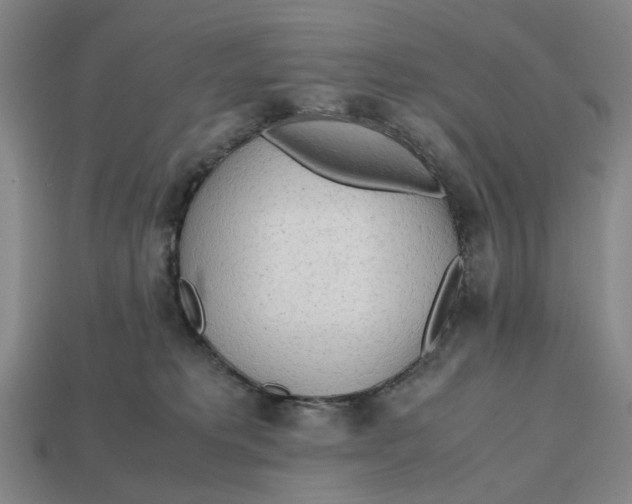 X0000112970229200909171325