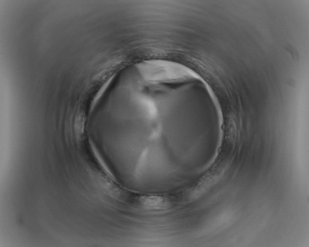 X0000112970230200909171325