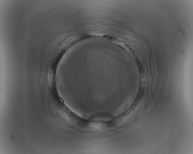 X0000112970231200909171325