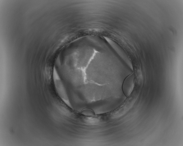 X0000112970232200909171325