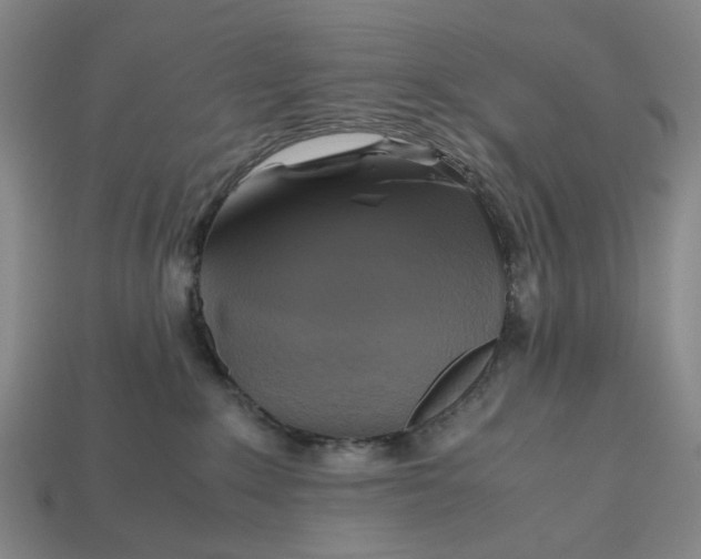 X0000112970235200909171325