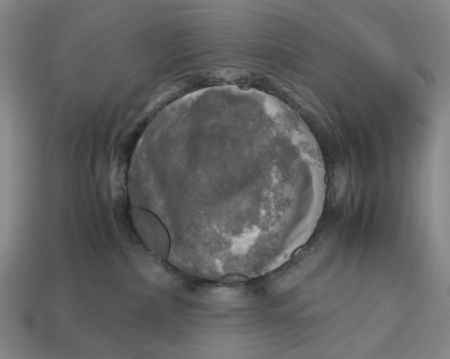 X0000112970236200909171325