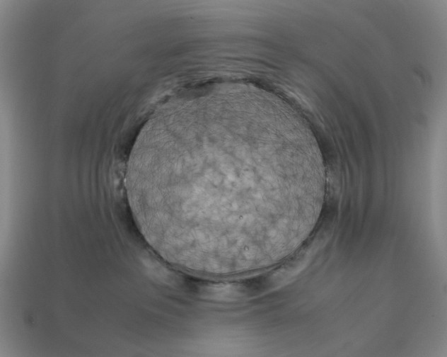 X0000112970237200909171325