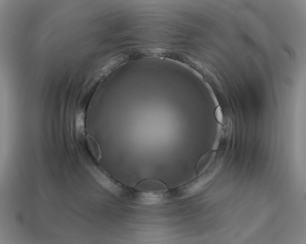 X0000112970238200909171325