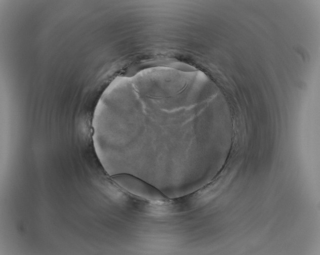 X0000112970240200909171324