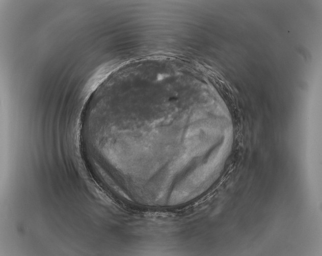 X0000112970242200909171324