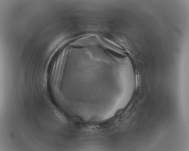 X0000112970243200909171324