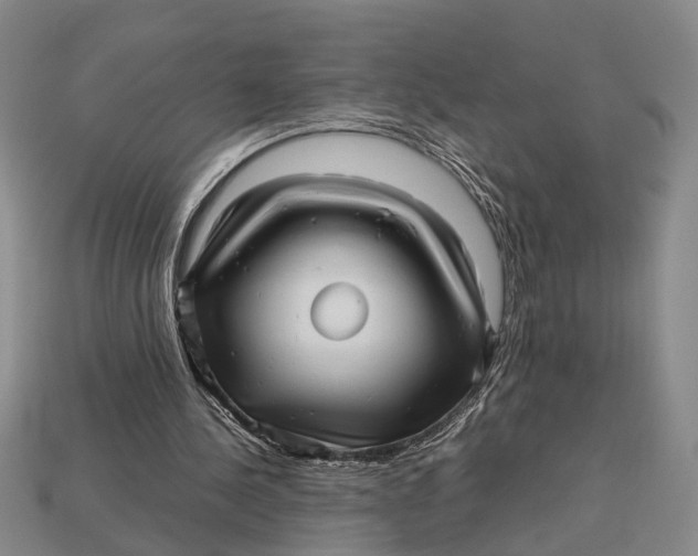 X0000112970244200909171324