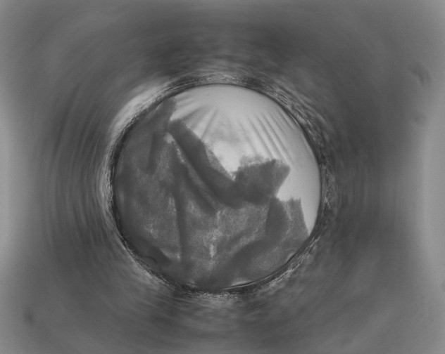 X0000112970245200909171324