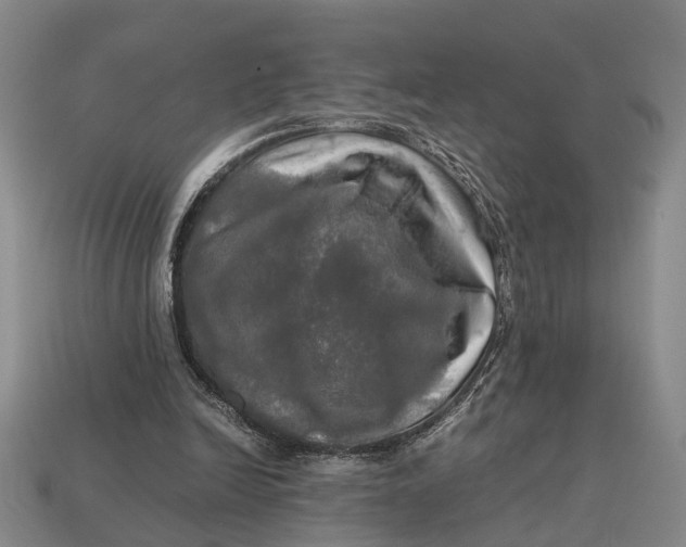 X0000112970246200909171324