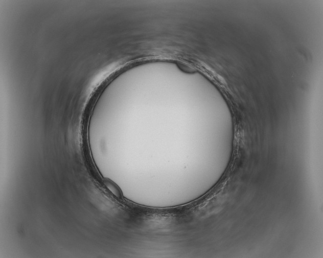 X0000112970248200909171324