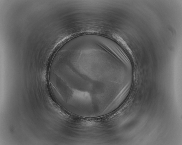 X0000112970249200909171324