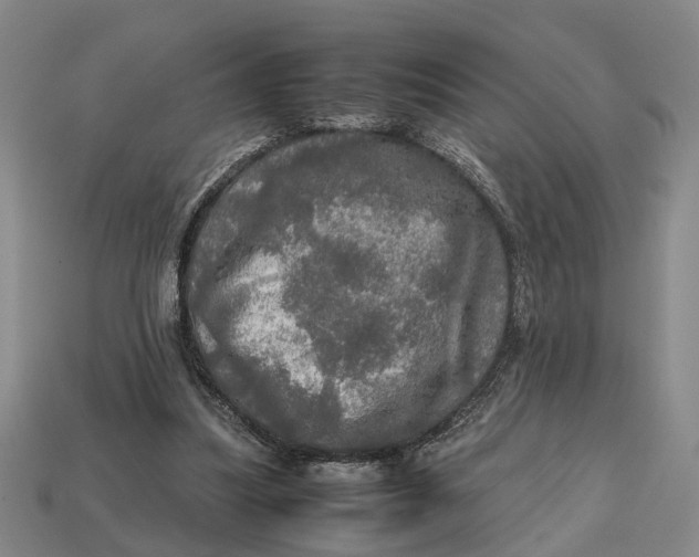 X0000112970251200909171324