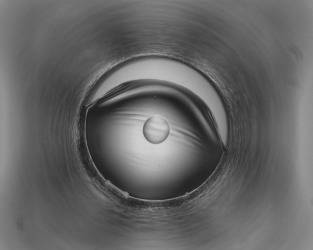 X0000112970252200909171324