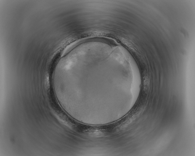 X0000112970254200909171324