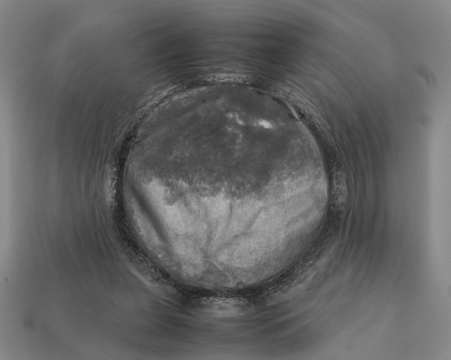 X0000112970255200909171324