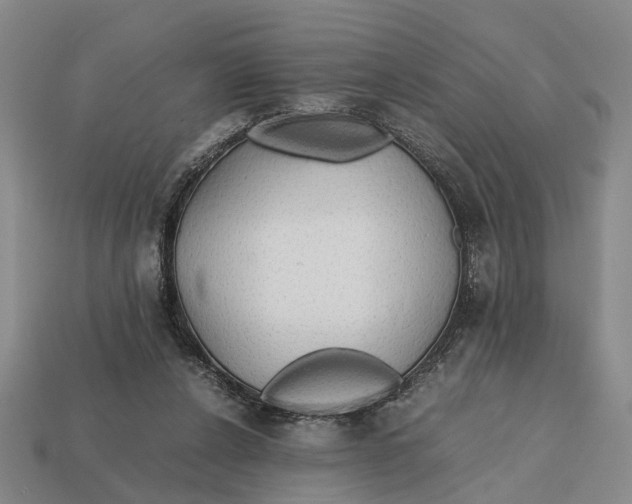 X0000112970256200909171324