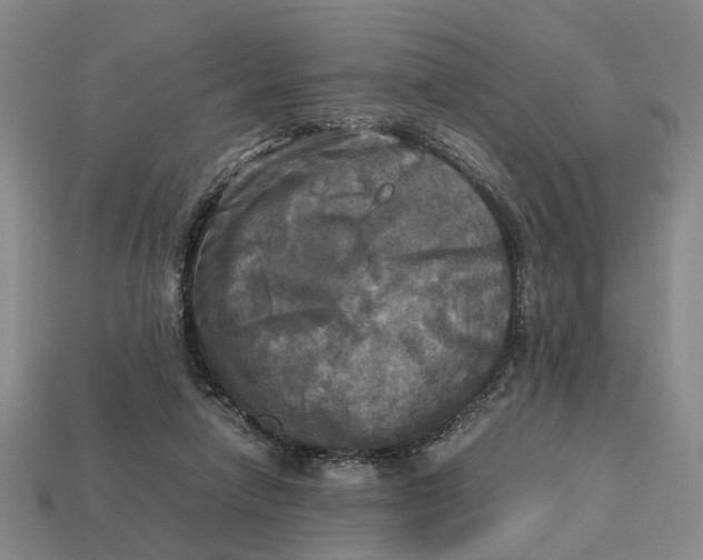 X0000112970258200909171324