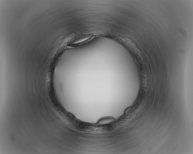 X0000112970260200909171324